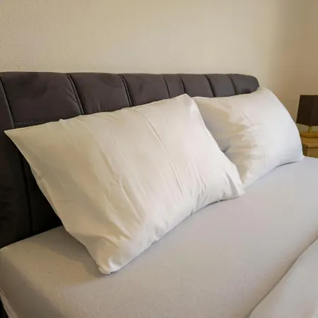 Anic Motel *